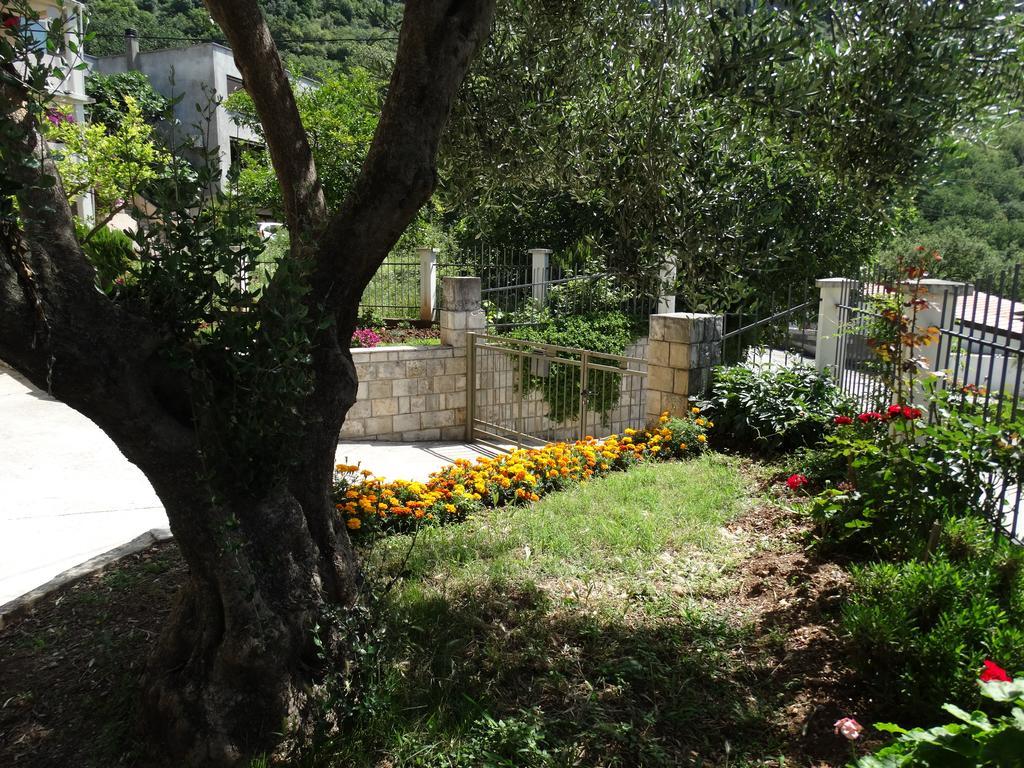 Apartament Ilinka *